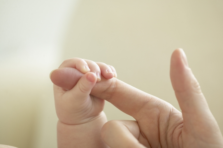 写真：不妊や漢方、健康の話題満載のブログです